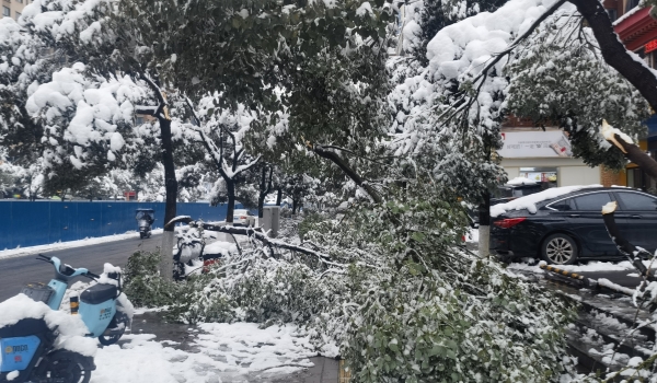 抗擊冰雪，他們在行動